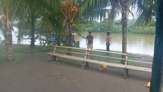 Two men stand by a brown river in a tropical park, near a wooden bench and palm trees, with coconuts on the ground nearby.