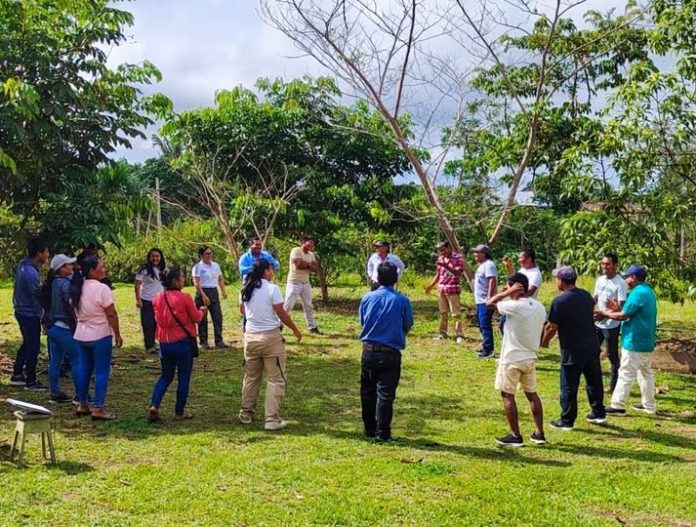 A diverse group of people stands in a circle outdoors on a grassy area, chatting among trees during a group activity or meeting.