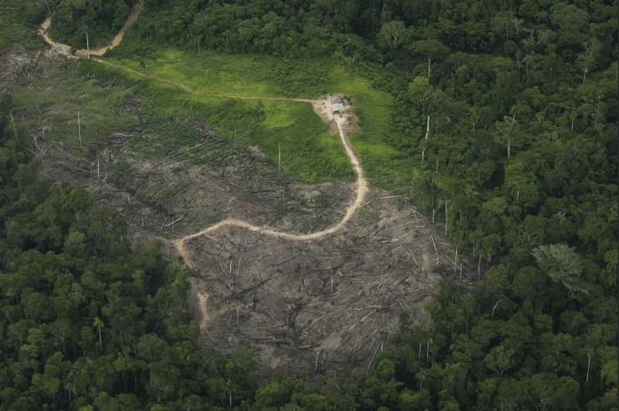 Aerial view of a large deforested patch in a tropical forest with a winding dirt road to a small building surrounded by green vegetation and remaining trees nearby.