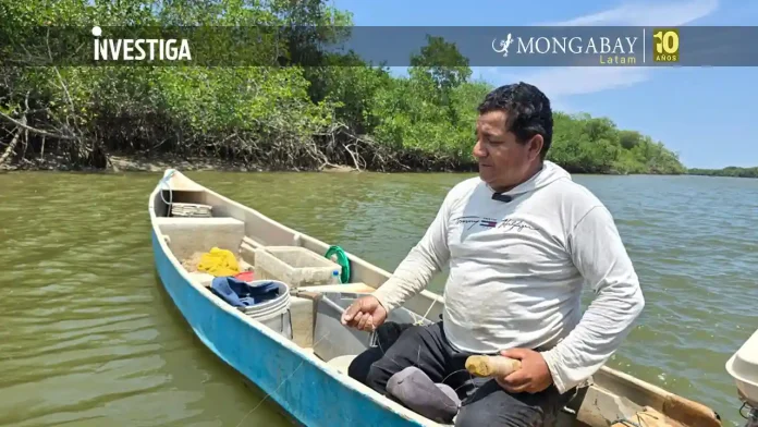 Man sits in a blue canoe on a muddy river, handling a wooden tool with gear and buckets nearby, mangrove shoreline in the background.
