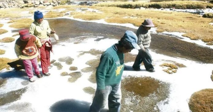 Group of four children wearing hats exploring a salt flat, walking on white salt crusts with shallow brown pools nearby